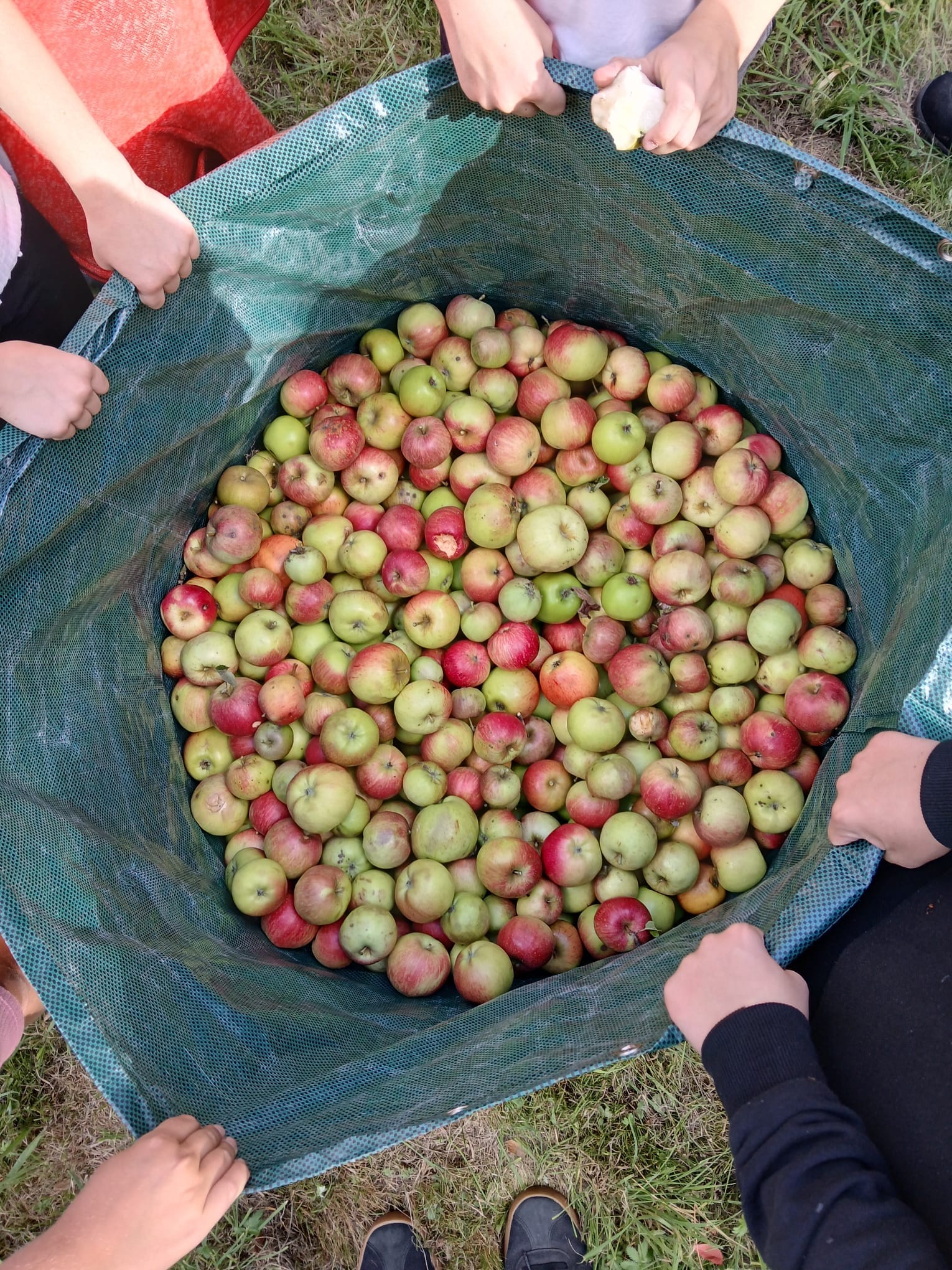 Apfelsaft1